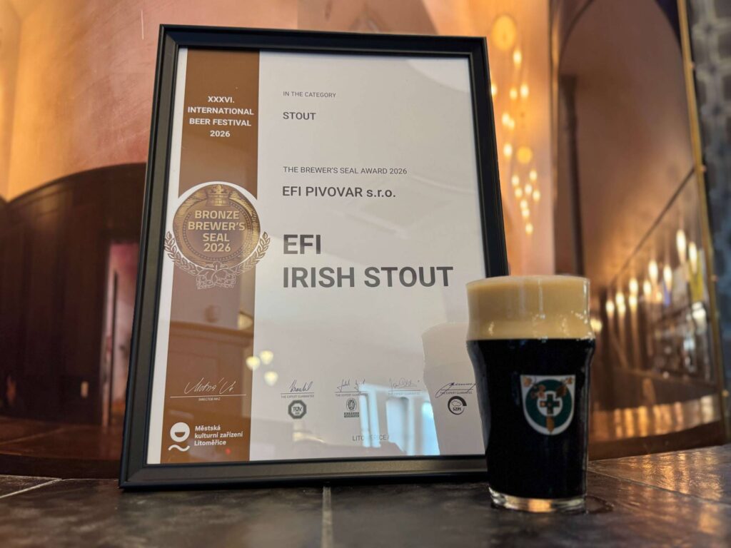 EFI Irish Stout